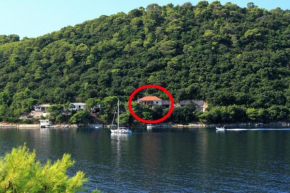 Apartments and rooms by the sea Ubli, Lastovo - 991